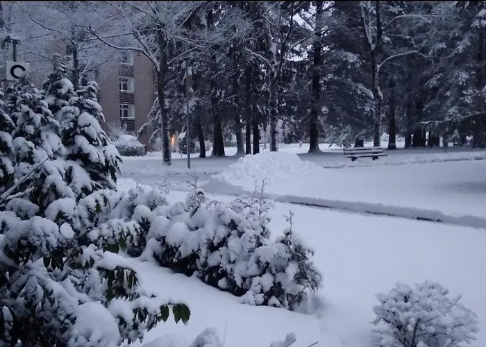 公寓 Kleine Residenz 阿尔特瑙